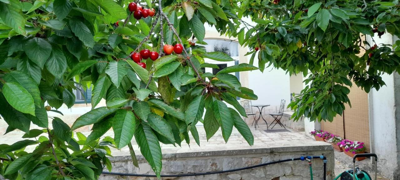 Locazione Turistica San Giorgio Appartement Putignano Buitenkant foto